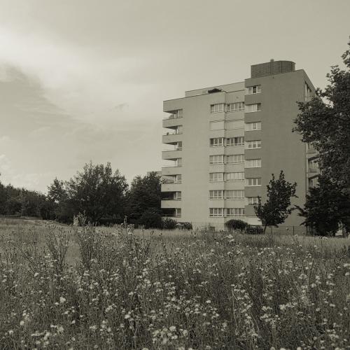 Halle-Neustadt